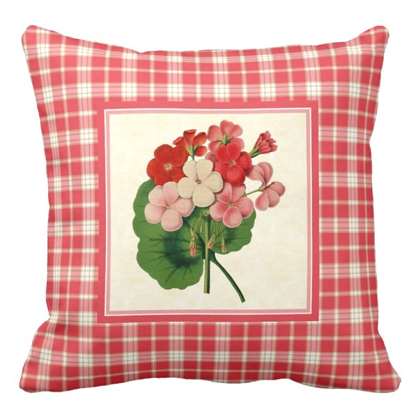 Vintage geraniums with pink plaid pillow