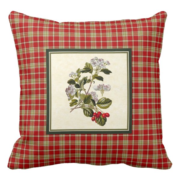 Hawthorn tree with red plaid pillow