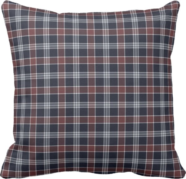 Vintage squirrel with rustic navy blue plaid pillow