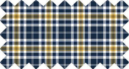 Navy Blue and Yellow Gold Plaid