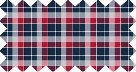 Navy blue, red, and gray plaid