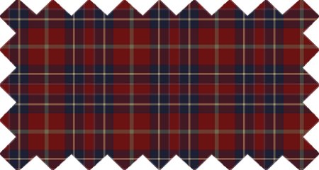Red and navy blue rustic plaid