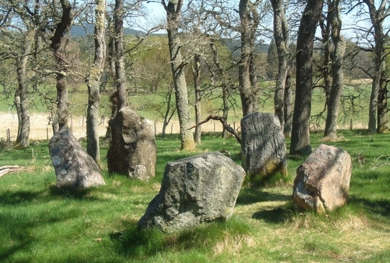 Aboyne Stone Circle by C Page