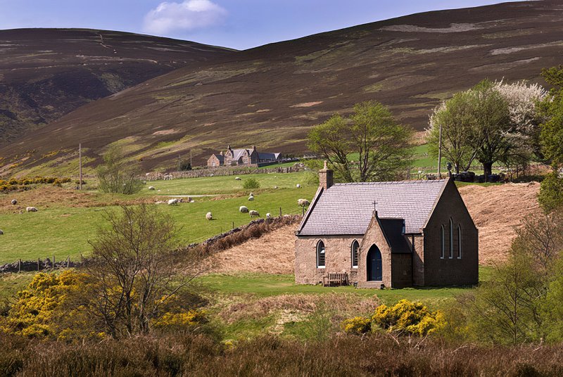 Forest of Birse Kirk by Nigel Corby