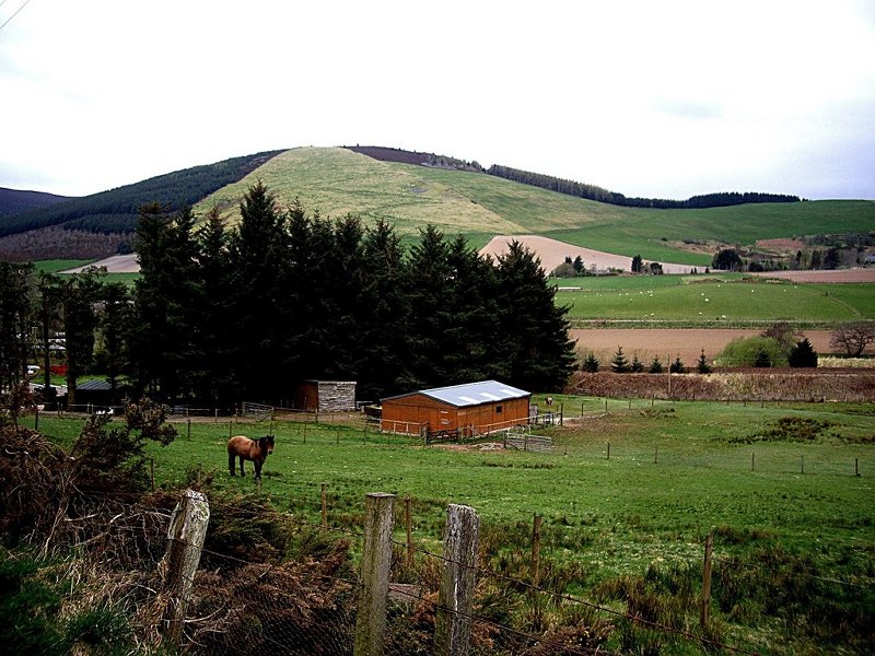 Stables at Gartly by Stanley Howe