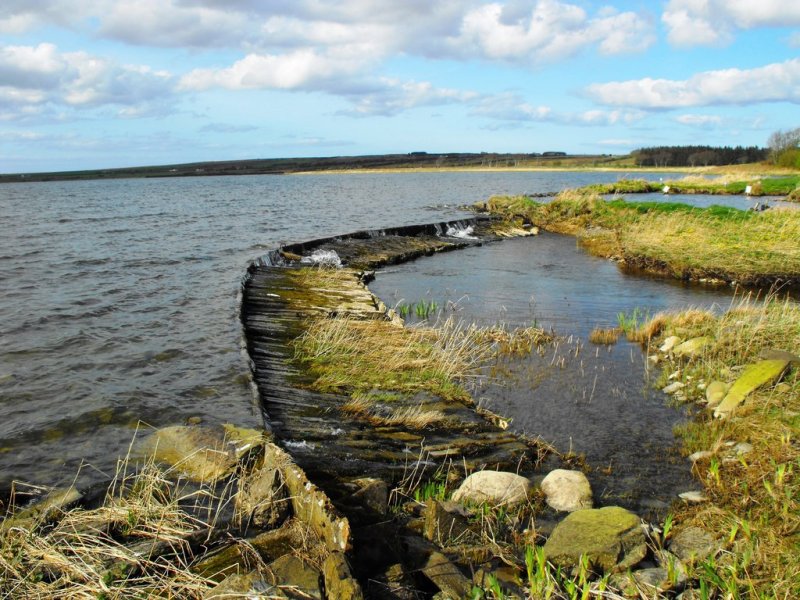 Loch Watten Cill by John MacKenzie