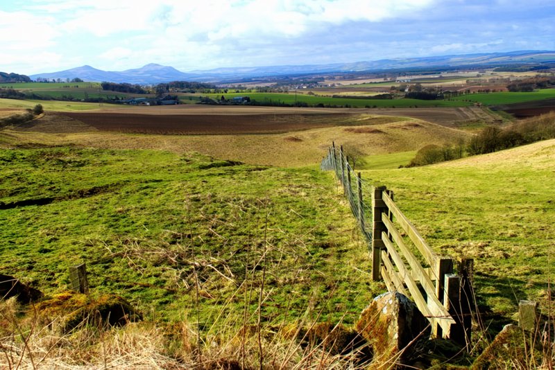 Cults Hill, Fife by Edward McMaihin
