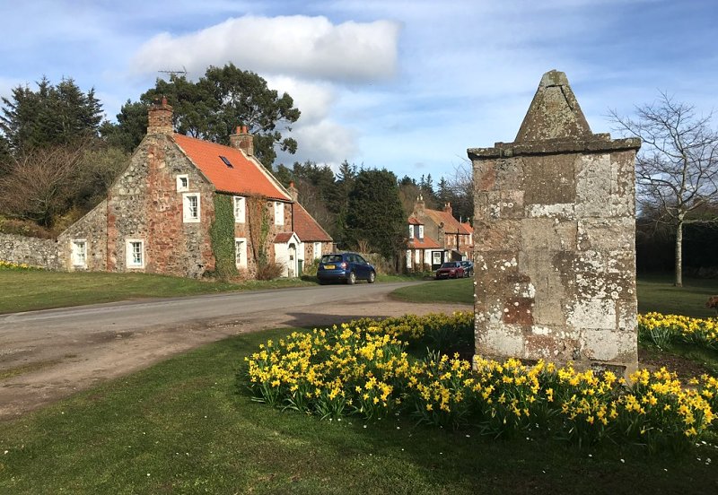 Oldhamstocks, East Lothian by Jennifer Petrie