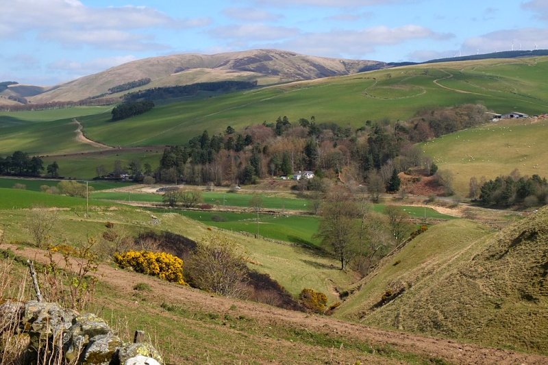 Womiston Dean, Eddleston by Jim Barton
