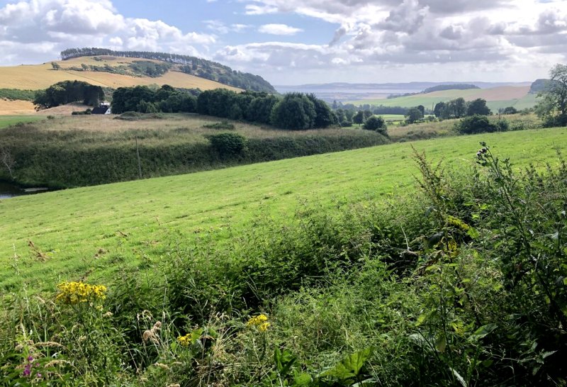 Pitkindie Field, Abernyte by Richard Webb