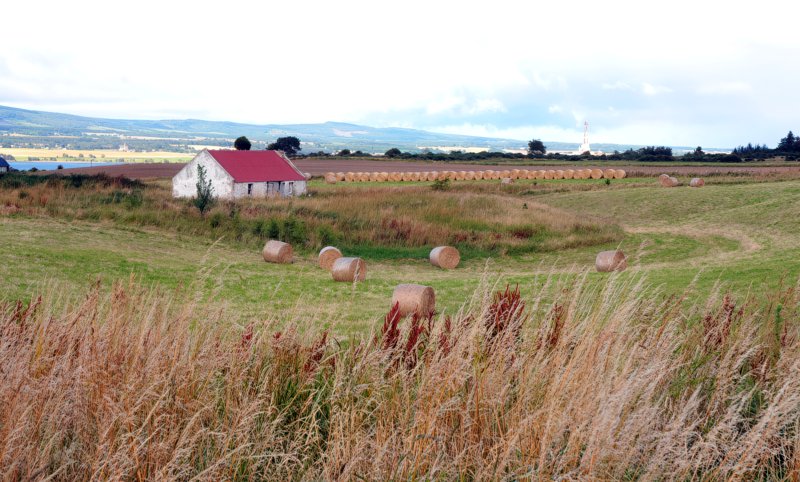 Abandoned cottage near Alnessferry, Resolis by Steven Brown