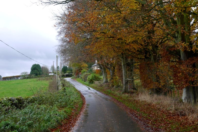 Ormiston, near Kirkton by Richard Webb