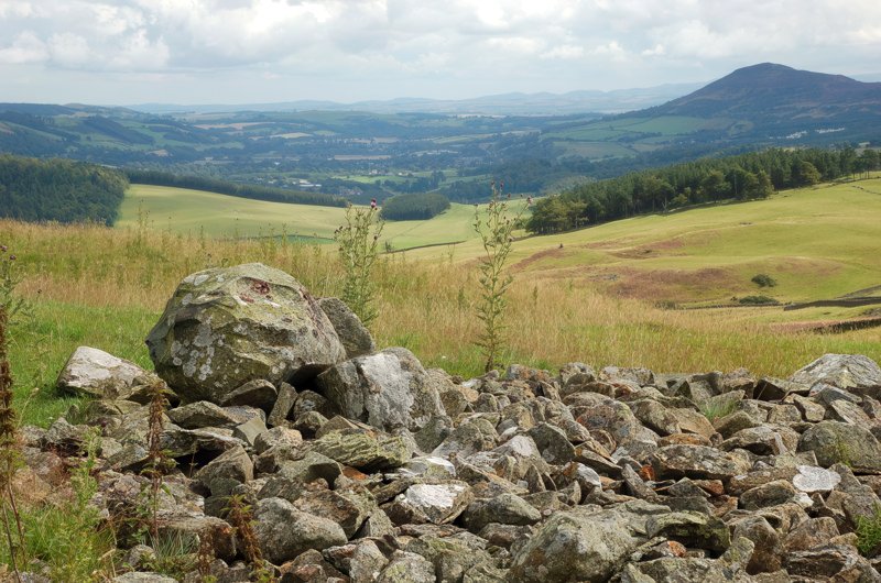 Neidpath Hill by Jim Barton