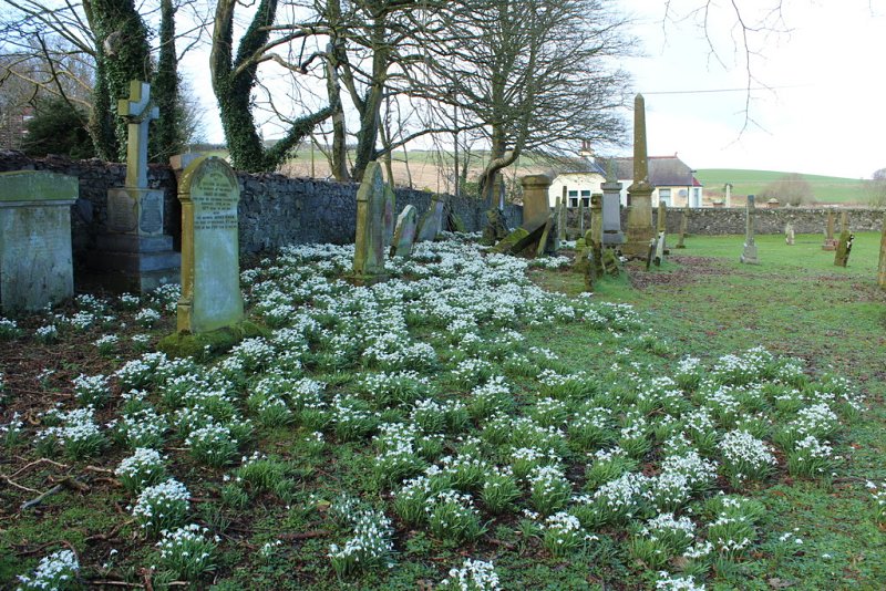 Leswalt Old Church Graveyard by Billy McCrorie