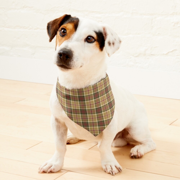 Gold and moss green plaid pet bandana