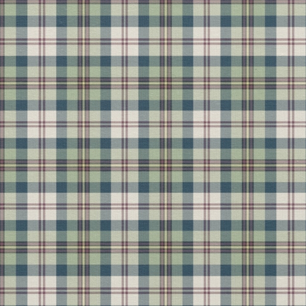 Light Green and Navy Blue Plaid Fabric