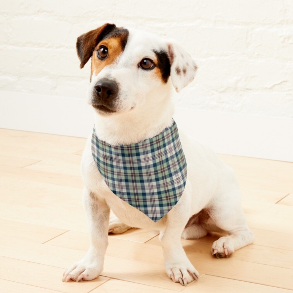 Light green and navy blue plaid pet bandana