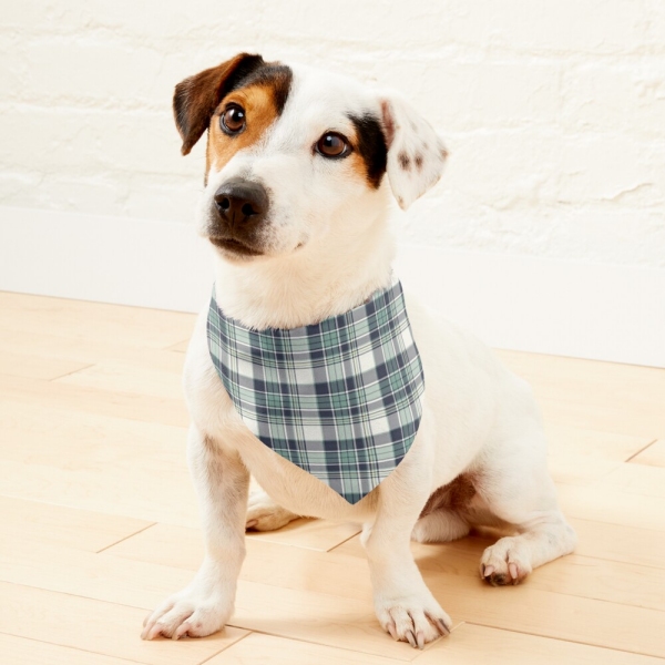 Seafoam green and navy blue plaid pet bandana