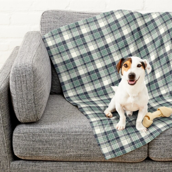 Seafoam green and navy blue plaid pet blanket