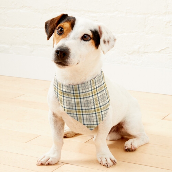 Yellow and navy blue plaid pet bandana