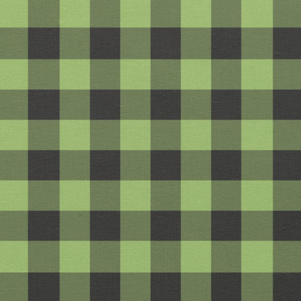 Light Green Buffalo Check Plaid Fabric