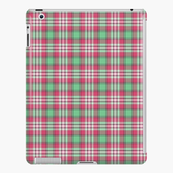 Mint green and pink plaid iPad case