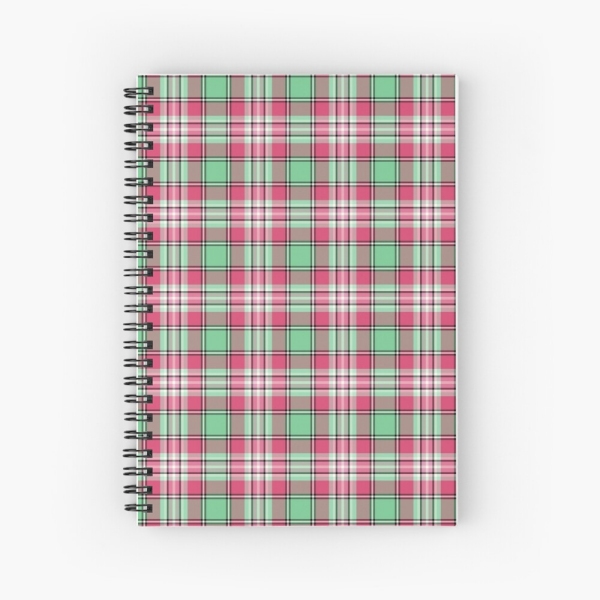 Mint green and pink plaid spiral notebook