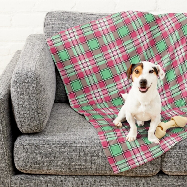 Mint green and pink plaid pet blanket