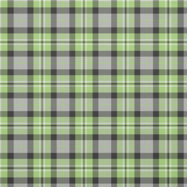 Light green and gray plaid fabric