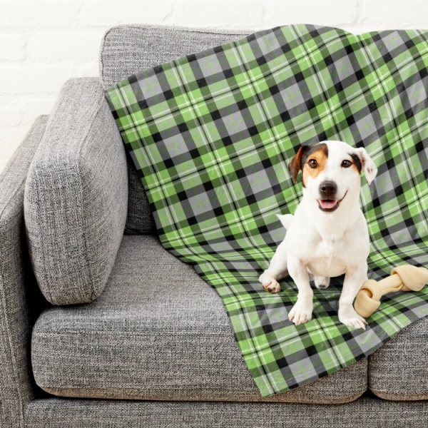 Light green and gray plaid pet blanket
