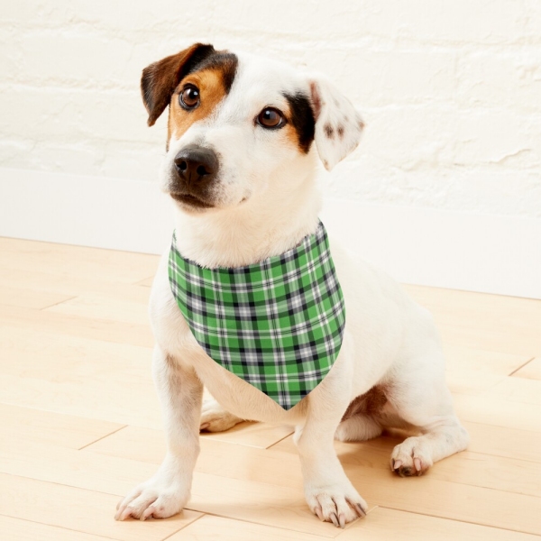 Bright green plaid pet bandana