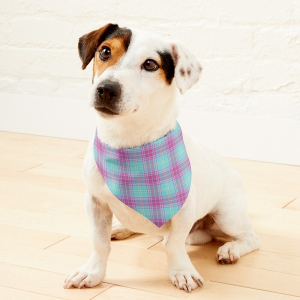 Hot pink and aqua plaid pet bandana