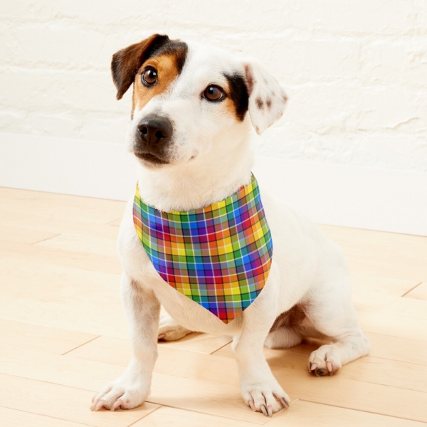 Bright rainbow plaid pet bandana