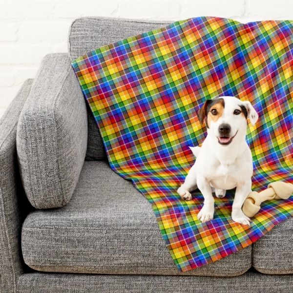 Bright rainbow plaid pet blanket