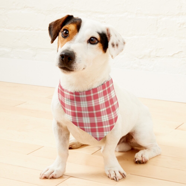 Coral pink plaid pet bandana