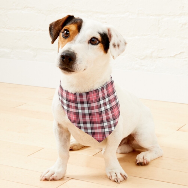 Coral pink, black, and white plaid pet bandana