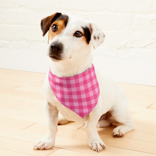 Bright pink checkered plaid pet bandana