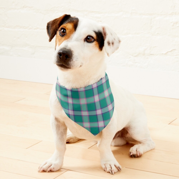 Emerald green and purple plaid pet bandana