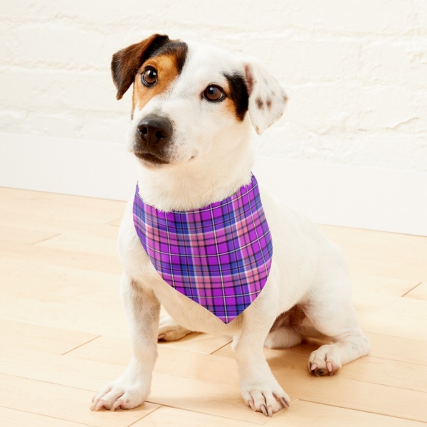 Bright purple, blue, and pink plaid pet bandana