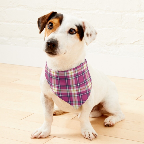 Hot pink and navy blue plaid pet bandana