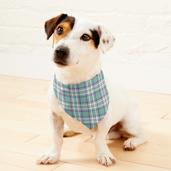 Light green, purple, and yellow plaid pet bandana