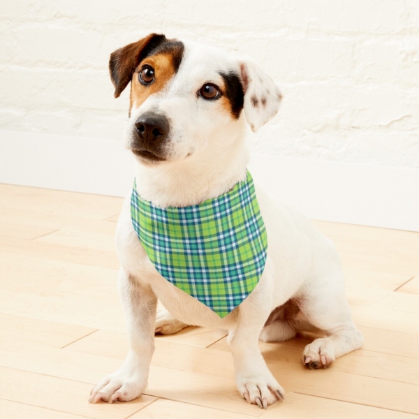 Lime green and turquoise plaid pet bandana