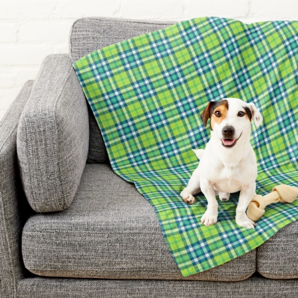 Lime green and turquoise plaid pet blanket