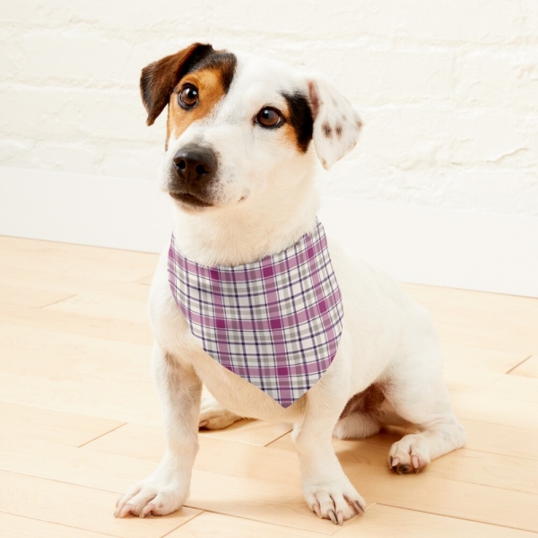 Magenta and gray plaid pet bandana