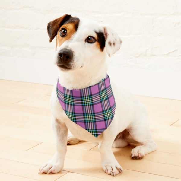 Light purple and turquoise plaid pet bandana