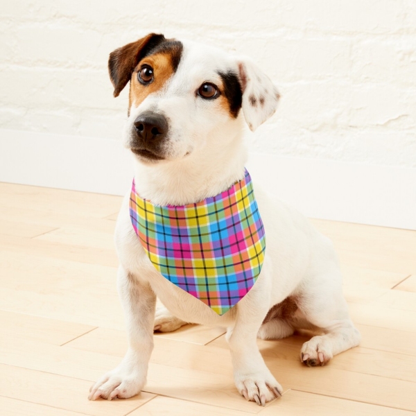 Hot pink, turquoise, and yellow plaid pet bandana