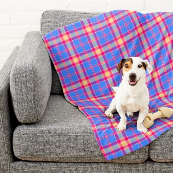 Bright blue, hot pink, and yellow plaid pet blanket