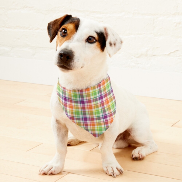 Bright purple, orange, and lime green plaid pet bandana