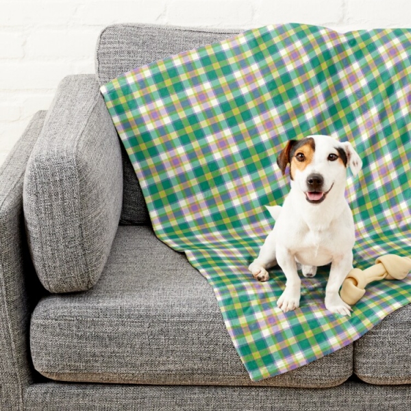 Bright seafoam green and purple plaid pet blanket