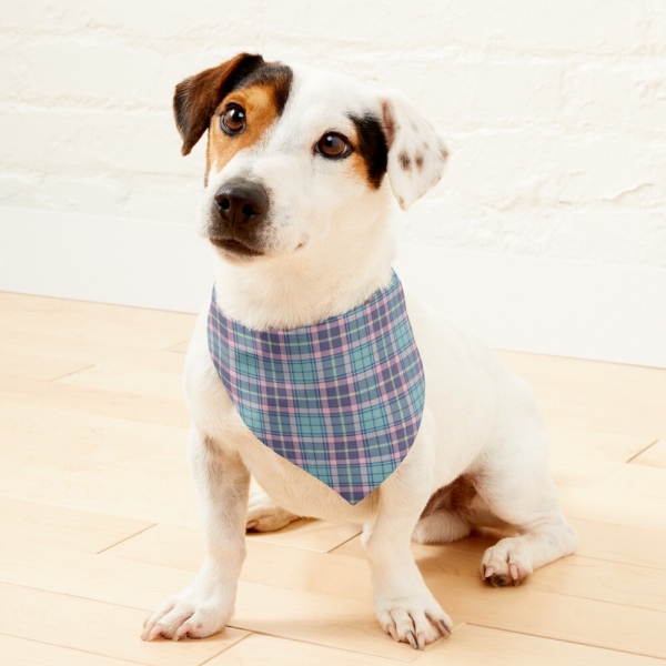 Aqua, pink, and lavender plaid pet bandana